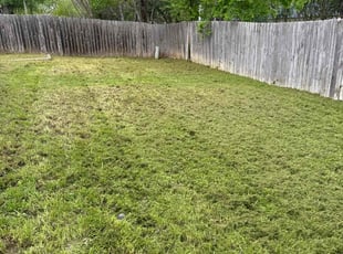 Adrienne G.'s Lawn Care service result