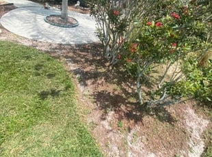 Weeding by Thomas Niederhelman for Sandra O. in New Port Richey, FL