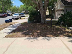 Leaf Removal by Paula Castillo Perez for Kervin E. in Lakewood Ranch, FL
