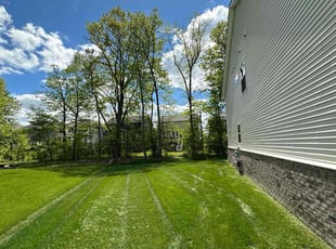 Monika M.'s Lawn Service service result