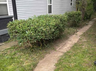 Landscaping by Chris Ellis for Randle A. in Indianapolis, IN