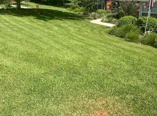 Kate A.'s Lawn Service service result