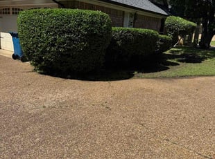 Bush Trimming by Maria Hernandez for Aaron M. in Grapevine, TX