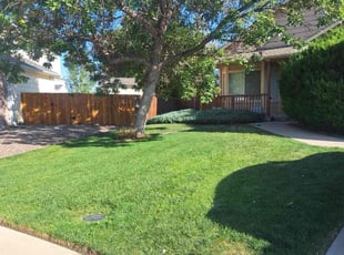 Paul J.'s Grass Cutting service result