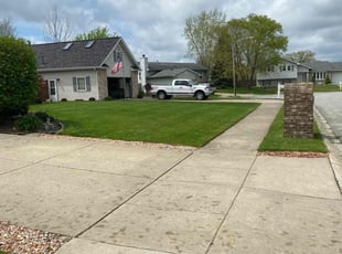Elizabeth D.'s Lawn Service service result