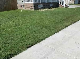 Patty F.'s Lawn Service service result