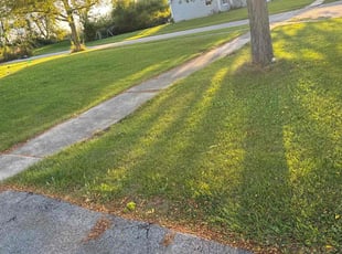 Kevin M.'s Lawn Care service result