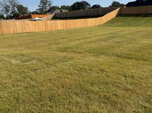 Gina L.'s Grass Cutting service result