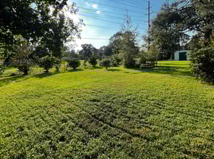 Roxanne S.'s Lawn Service service result