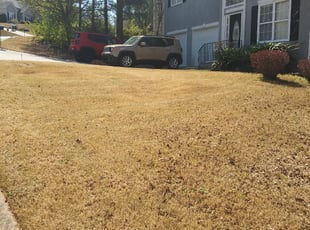 Bush Trimming by Ruben Williams for Curtis S. in Marietta, GA