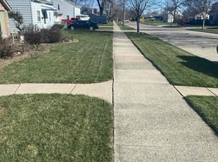 Augustine M.'s Lawn Mowing Service service result