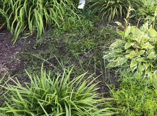 Kendra S.'s Flower Bed Weeding service result