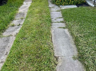 Weeding by Devonta Wooten for Ross C. in New Orleans, LA