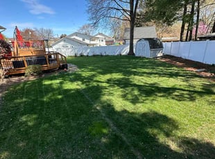 Jason J.'s Lawn Mowing service result