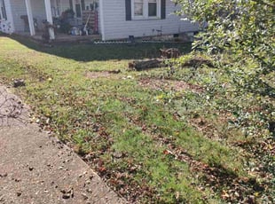 Bush Trimming by Rick Bartlett for Marinda W. in Arden, NC