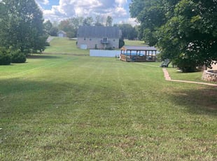Kenneth B.'s Lawn Mowing service result