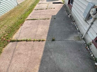 David O.'s Leaf Removal service result