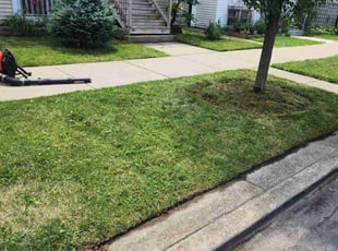 Dale W.'s Lawn Care service result