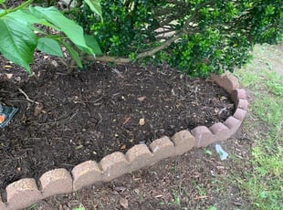 Leaf Removal by Dylan Jones for Reed B. in Richmond, VA
