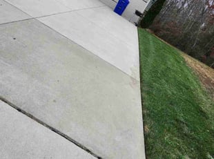 Susan S.'s Grass Cutting service result