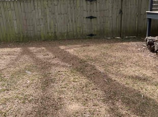 Leaf Removal by Brian McMiller for James B. in Jacksonville, AR
