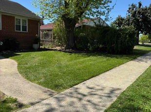 Nathan M.'s Lawn Mowing service result