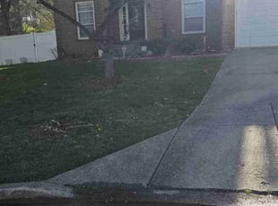 Sherry H.'s Lawn Maintenance service result