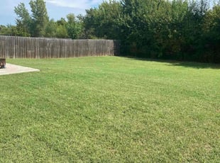 Kenya A.'s Lawn Mowing service result