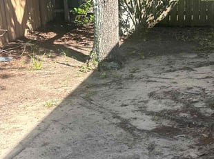 Leaf Removal by JosΓ© Gonzalez for Eliz M. in Katy, TX