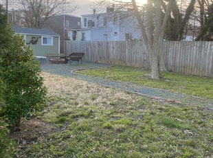 Leaf Removal by Theodore Thomas for Kenya F. in Richmond, VA