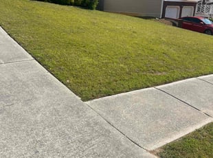Joyce W.'s Lawn Service service result