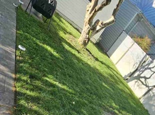 Mildred N.'s Lawn Service service result