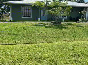 Shana W.'s Lawn Mowing Service service result