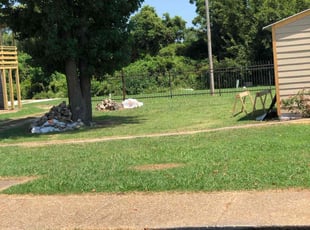 Susanne M.'s Lawn Care service result