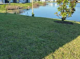 Julie G.'s Grass Cutting service result