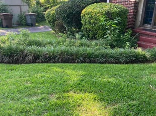 Connie S.'s Bush Trimming service result