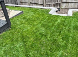 Donya C.'s Lawn Care service result