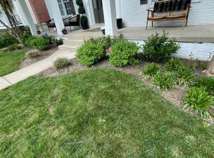 Weeding by Fidel Rodriguez for Muna A. in Arlington, VA