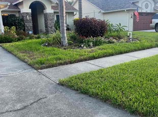 Susan M.'s Grass Cutting service result