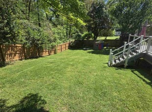 Vince M.'s Lawn Service service result