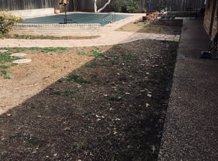 Leaf Removal by Chaes Pate for Sonya G. in San Antonio, TX