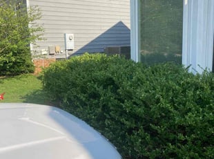 Bush Trimming by Brace Osewe for Mathew W. in Cary, NC