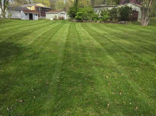 Wesley K.'s Lawn Service service result