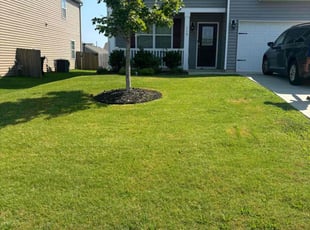 Wiley Y.'s Lawn Maintenance service result