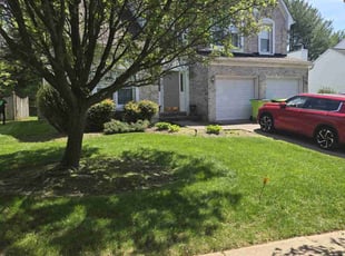Rain H.'s Lawn Mowing service result