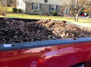 Cleanups by Leo Cannon for Chris L. in Paoli, PA