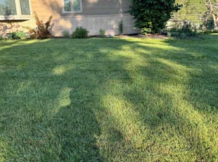 Ahmed M.'s Lawn Mowing service result