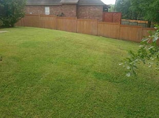 Uday G.'s Lawn Mowing service result