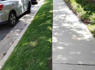 Patti G.'s Lawn Mowing service result