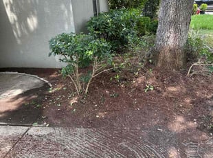 Weeding by Zechariah Peter for Elizabeth V. in Land O' Lakes, FL